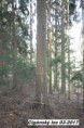 /album/lesy-mestyse-cerne-hory/dsc-0114-jpg/